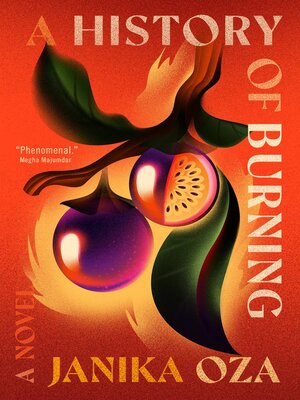 A History of Burning - ebook